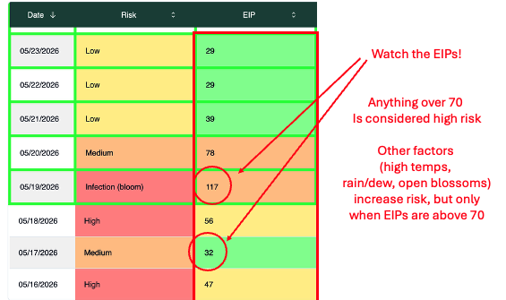 Color-coded fire blight risk table showing daily risk levels and Epiphytic Infection Potential (EIP) values from May 16–23, 2026. Red annotations highlight the EIP column and emphasize that values above 70 are considered high risk. Specific EIP values of 117 and 32 are circled, with notes explaining that additional factors such as high temperatures, rain or dew, and open blossoms increase risk when EIP levels are above 70.